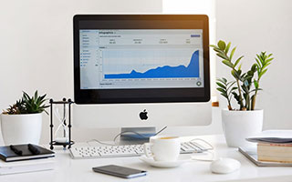 乐鱼网页版登录入口官网：开启无缝畅玩的登录体验与安全护航